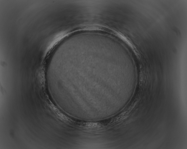 X0000090701456200708031403