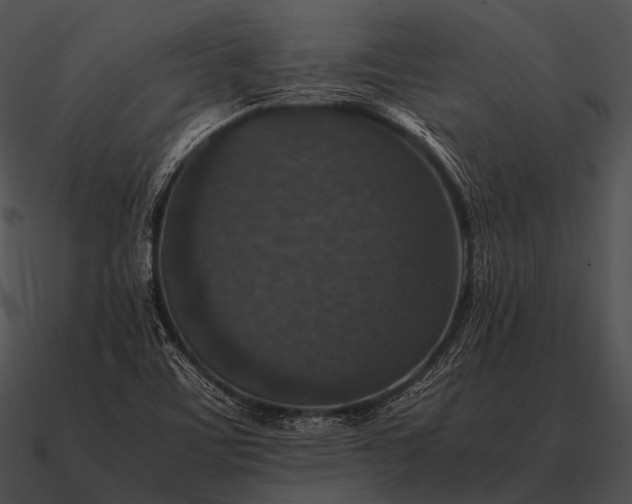 X0000090701459200708031403