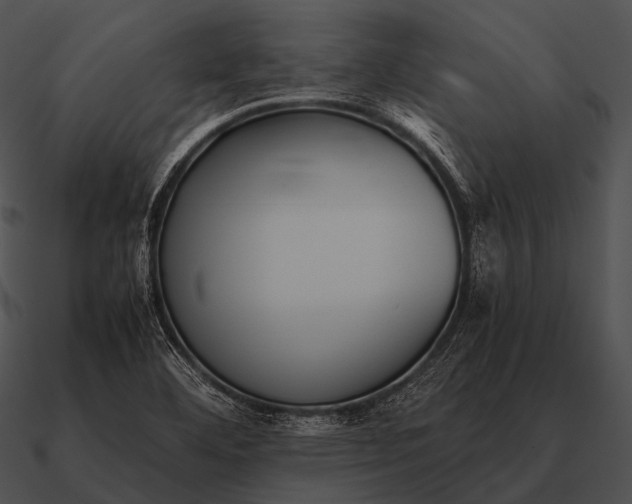 X0000090701460200708031403