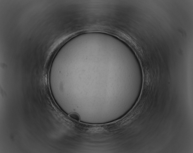 X0000090701462200708031403