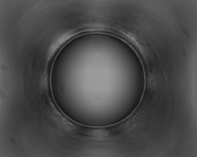 X0000090701464200708031403