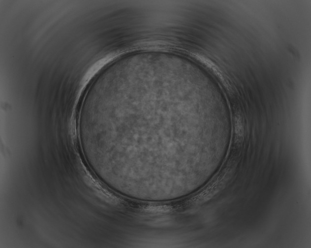 X0000090701466200708031403