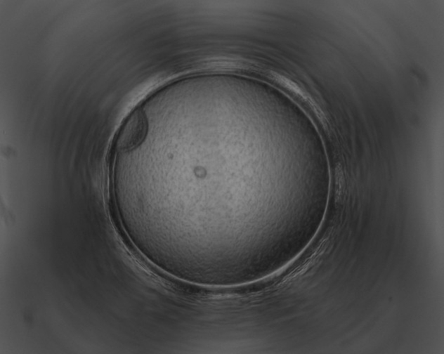 X0000090701467200708031403