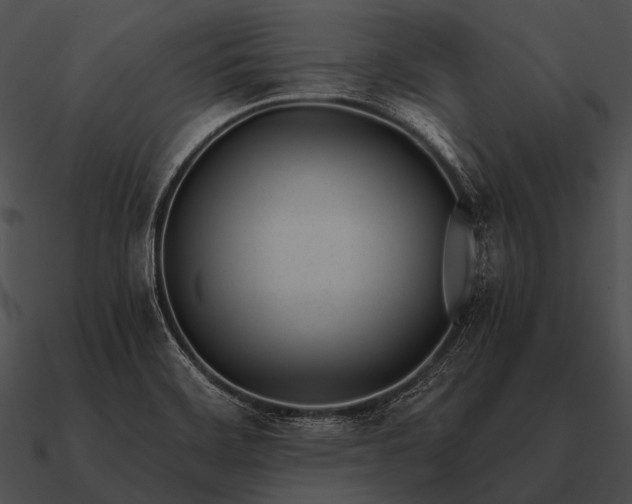 X0000090701468200708031403