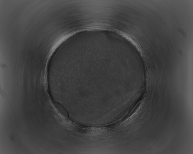 X0000090701469200708031403