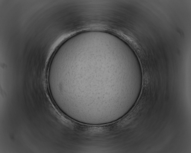 X0000090701470200708031403