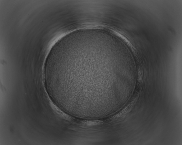 X0000090701471200708031403