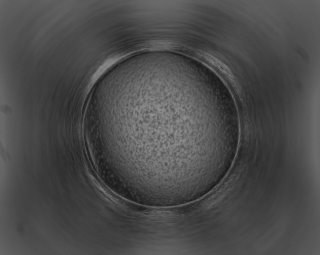 X0000090701473200708031403