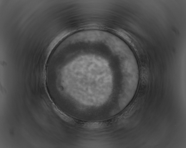 X0000090701474200708031403