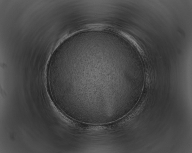 X0000090701475200708031403