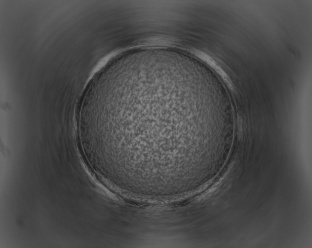 X0000090701477200708031403