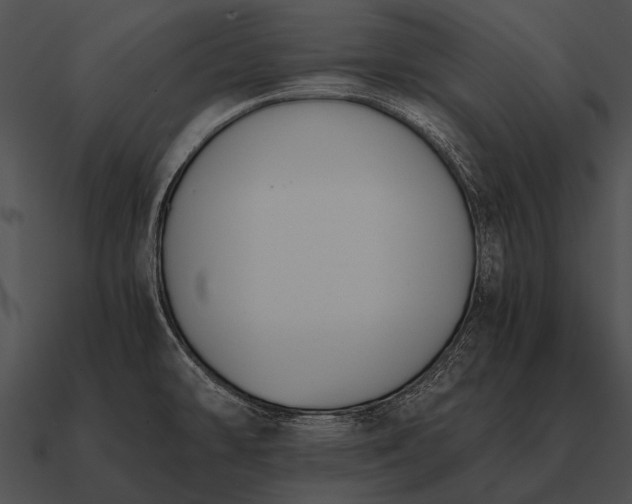 X0000090701478200708031403