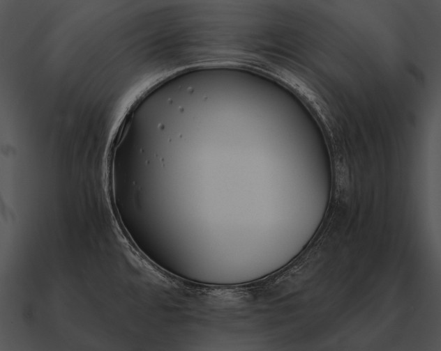 X0000090701480200708031403