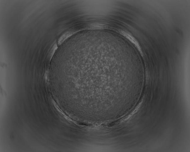 X0000090701481200708031403