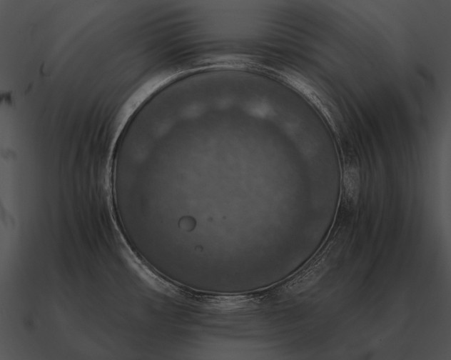 X0000090701482200708031403