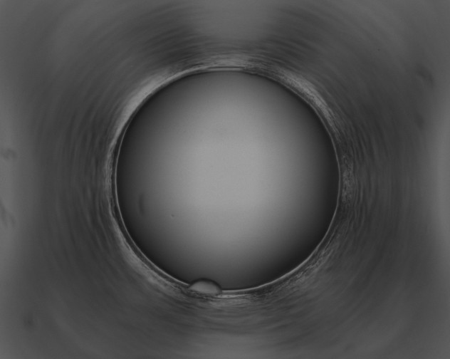 X0000090701483200708031403