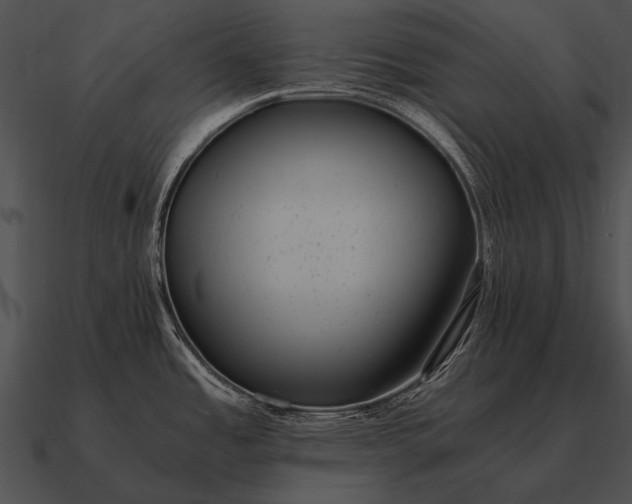 X0000090701485200708031403