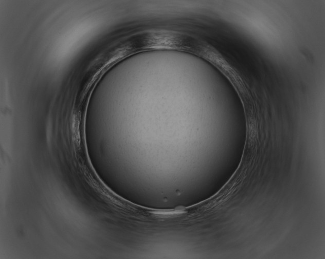 X0000090701487200708031403