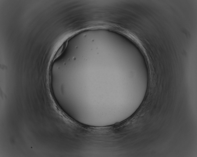 X0000090701488200708031403