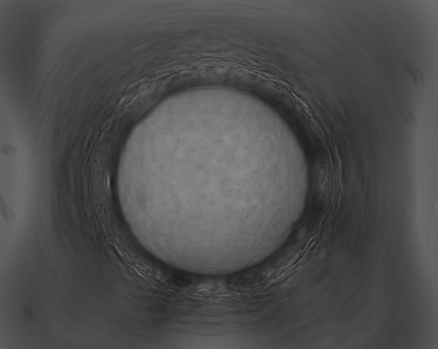 X0000090701489200708031402