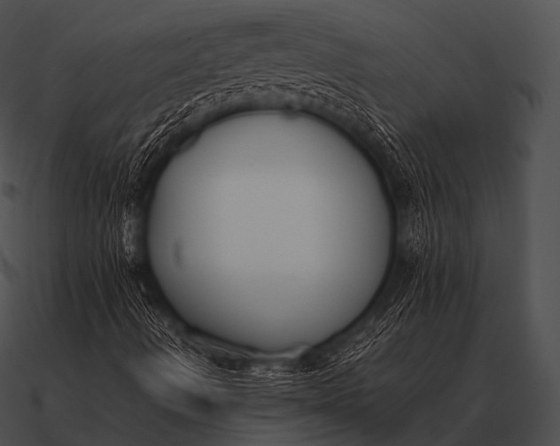 X0000090701490200708031402