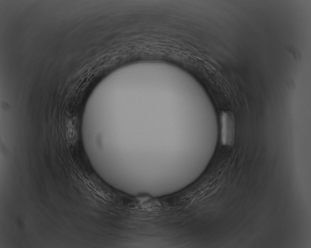 X0000090701491200708031402