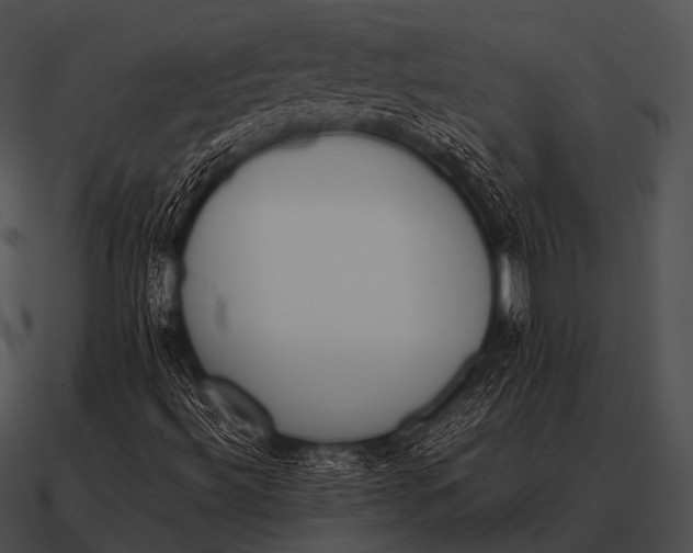 X0000090701492200708031402