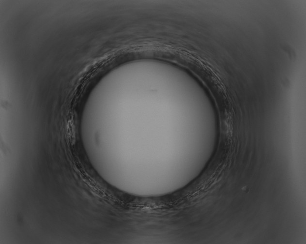 X0000090701493200708031402