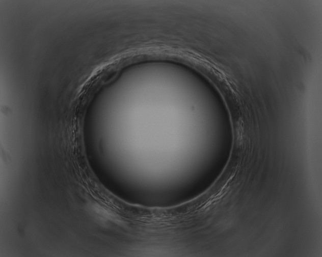 X0000090701494200708031402