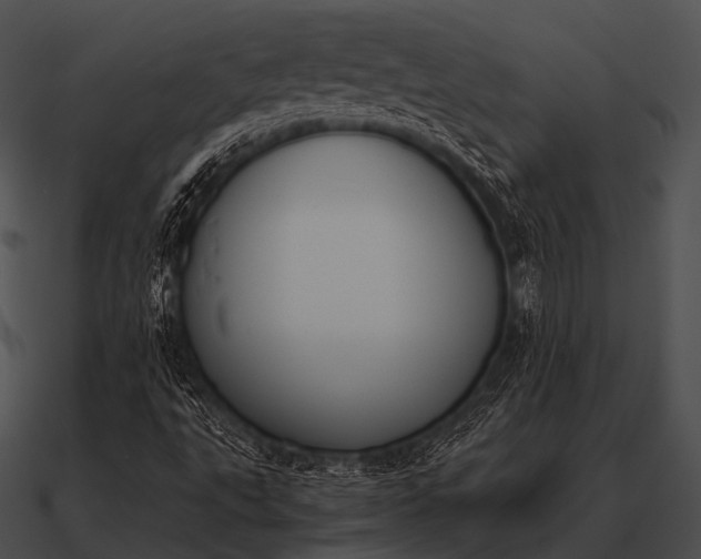 X0000090701495200708031402