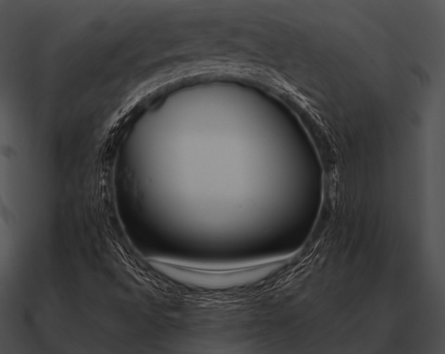 X0000090701496200708031402