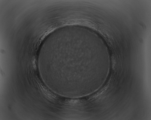 X0000090701497200708031402