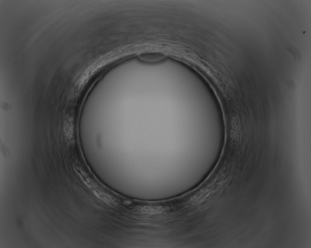 X0000090701499200708031402