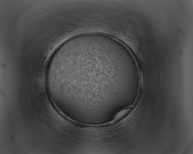 X0000090701500200708031402