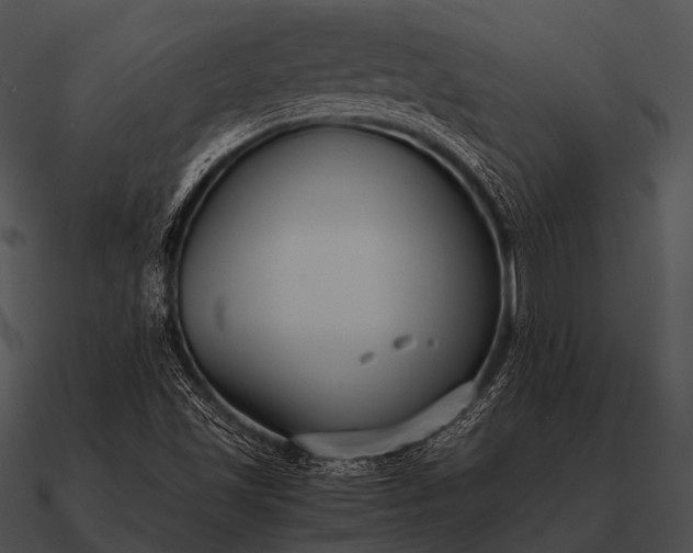 X0000090701501200708031402