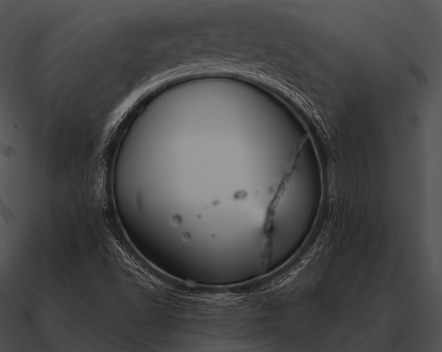 X0000090701502200708031402