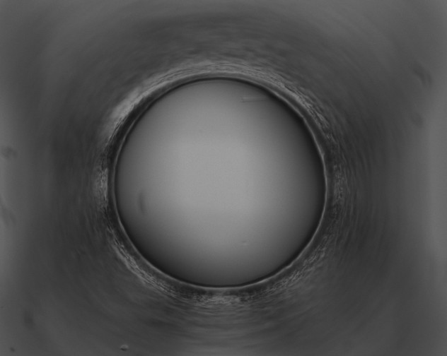 X0000090701503200708031402