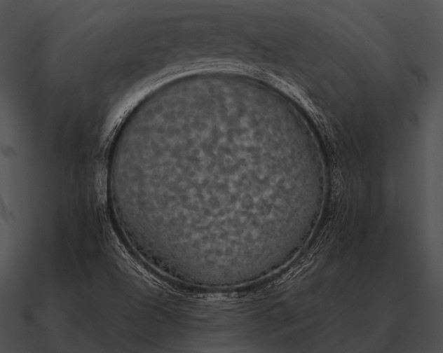 X0000090701504200708031402