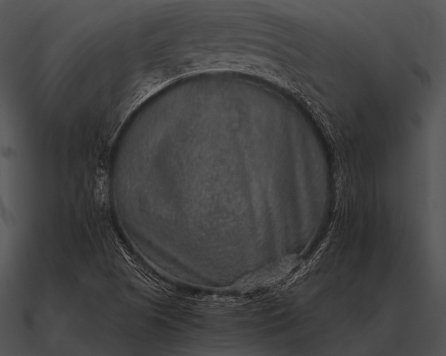 X0000090701505200708031403