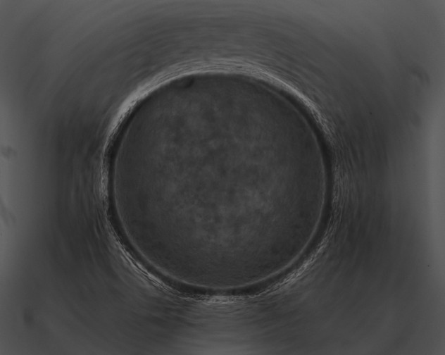 X0000090701506200708031403