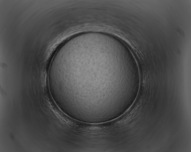 X0000090701507200708031403