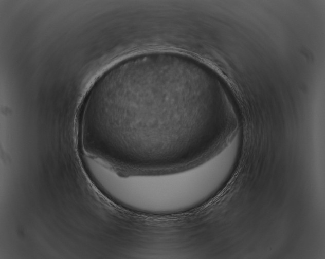 X0000090701508200708031403