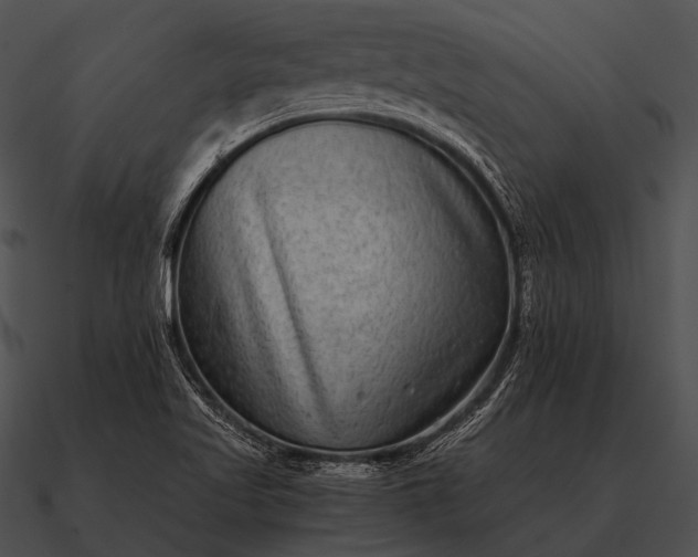 X0000090701509200708031403