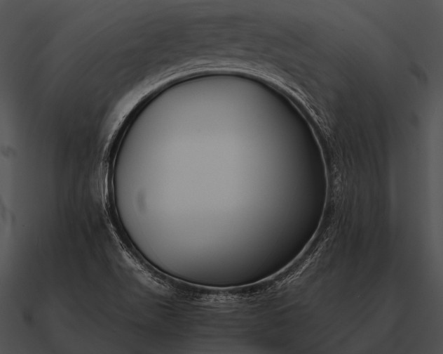 X0000090701511200708031403