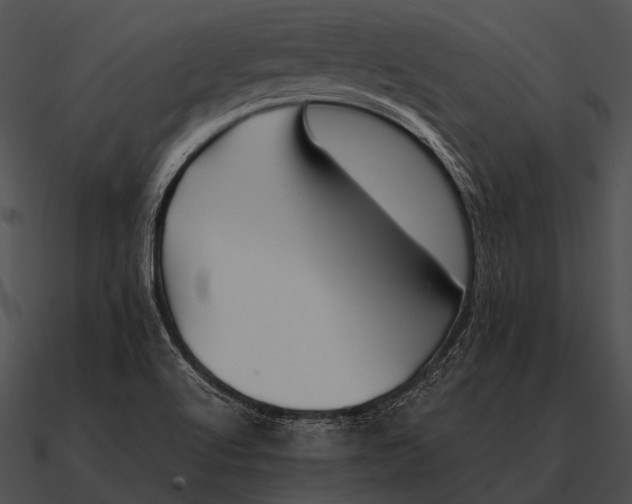 X0000090701512200708031403