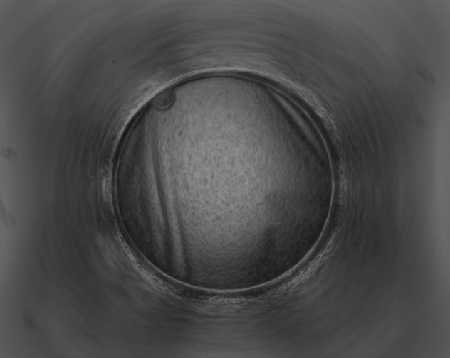 X0000090701513200708031403