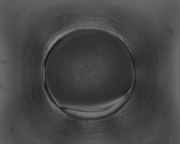 X0000090701515200708031403