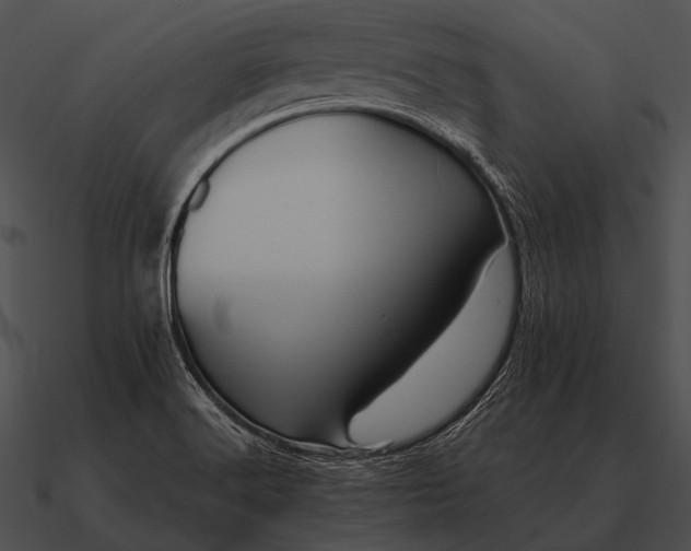 X0000090701516200708031403