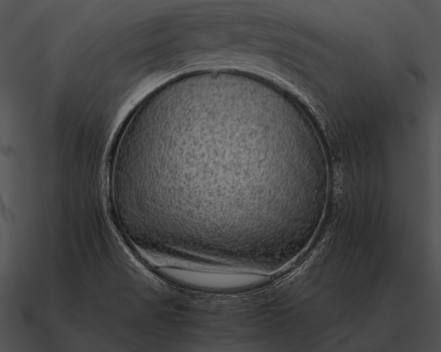 X0000090701517200708031403