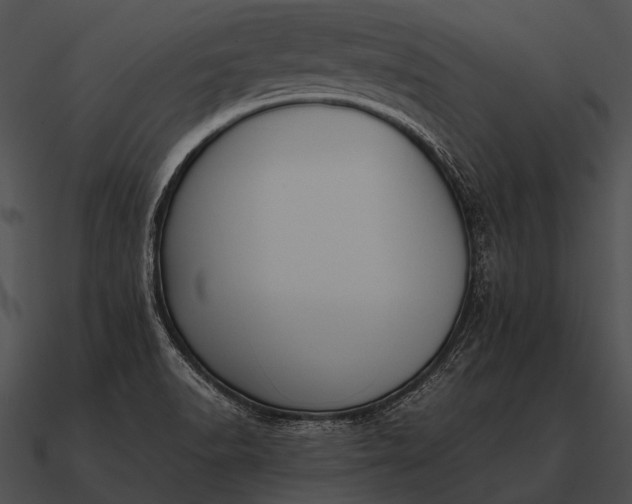 X0000090701518200708031403